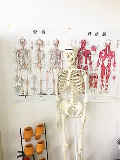 江別市 野幌駅 めぐろ整骨院 ギャラリー3