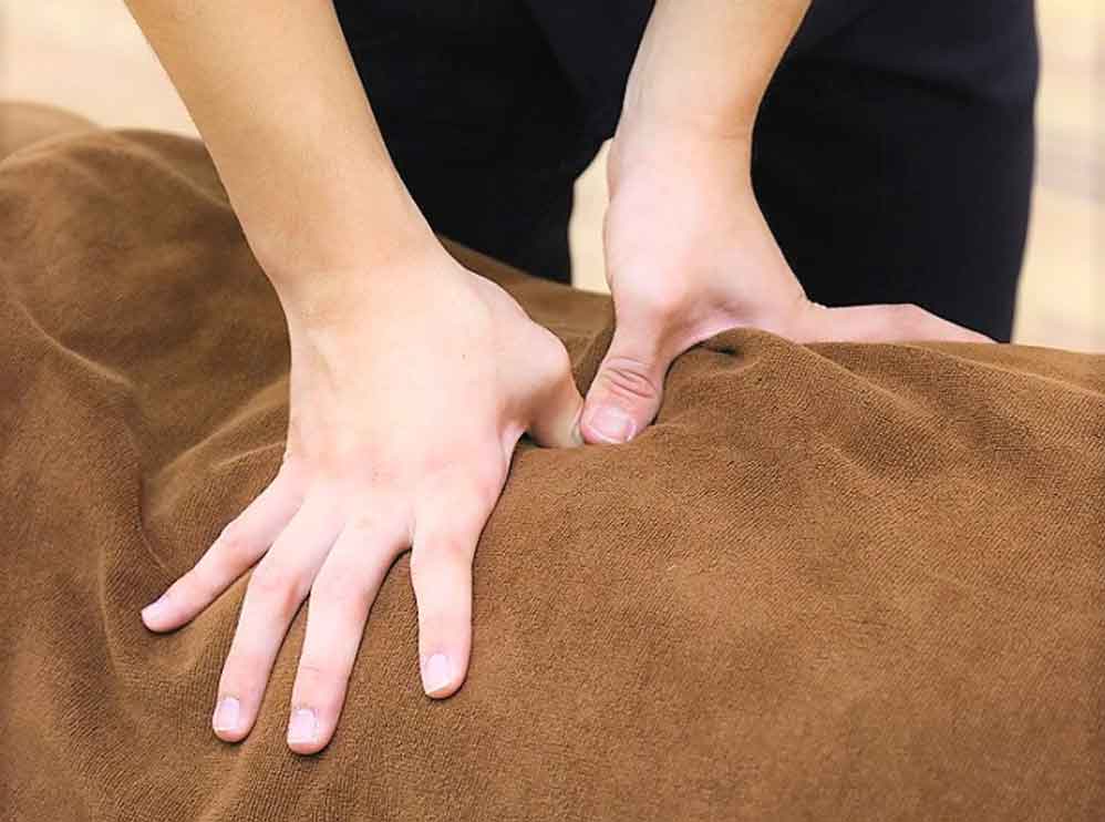 江戸川区 小岩駅 小岩蔵前橋通り接骨院 ギャラリー3