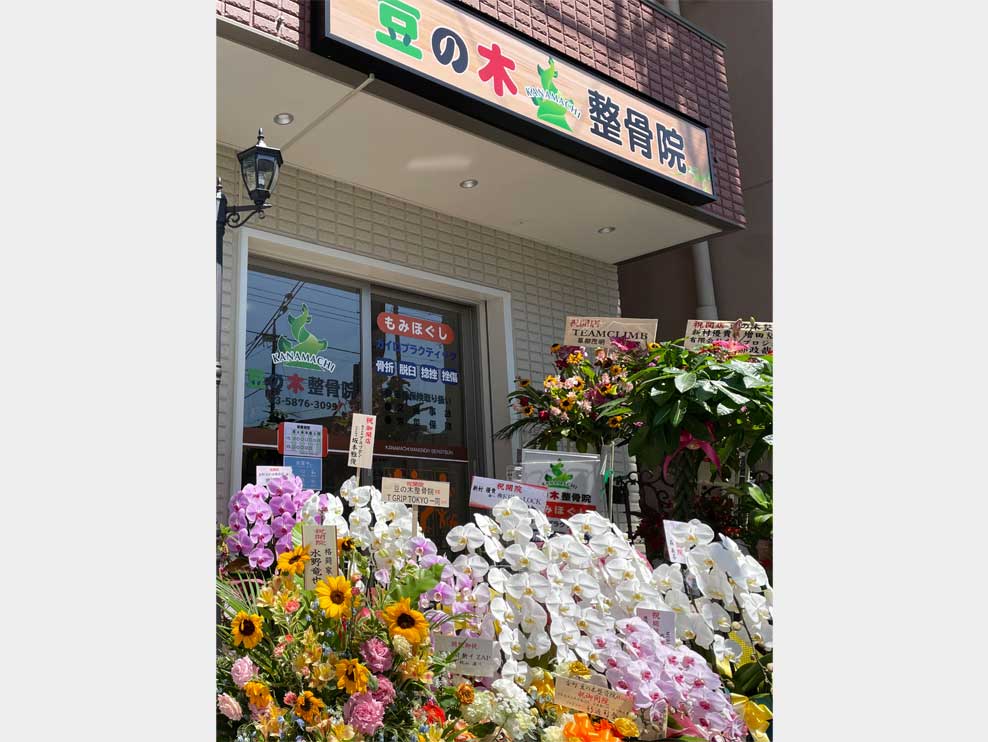 金町 豆の木整骨院