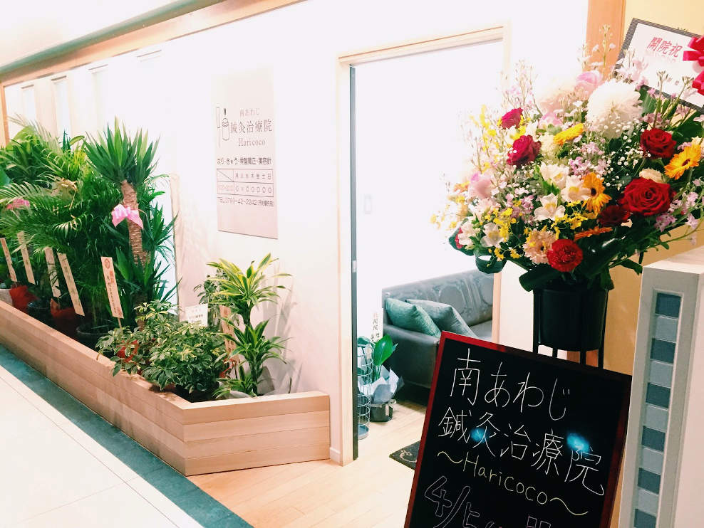 南あわじ鍼灸治療院～Haricoco～