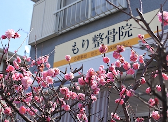 もり整骨院の外観