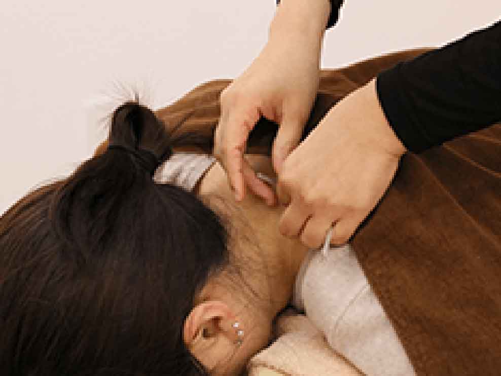 新潟市 寺尾駅 新潟寺尾東接骨院 ギャラリー2