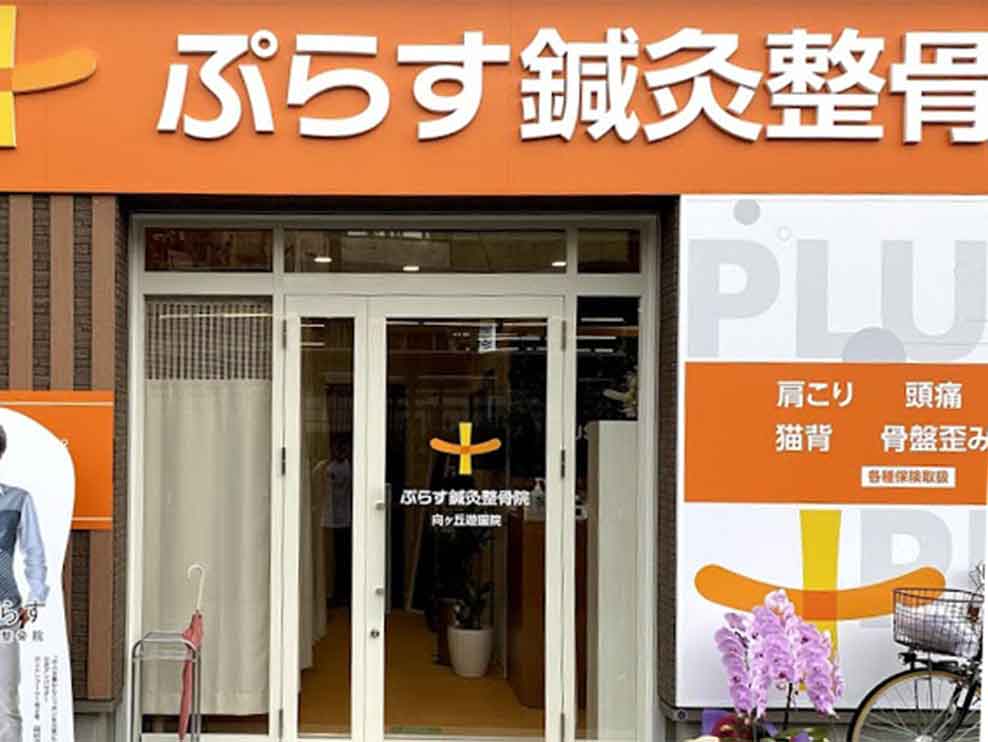 ぷらす鍼灸整骨院 向ヶ丘遊園院