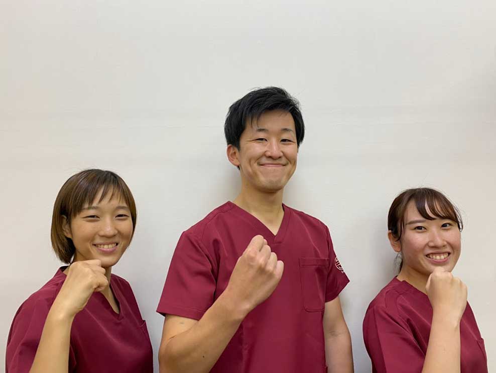 てて整骨院 新琴似店 札幌市北区 新琴似駅 ギャラリー2